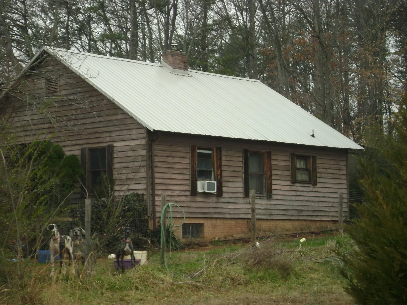 White metal roof on an old wood sided farmhouse, from a Asphalt Shingle Roof Repair job in Stendal